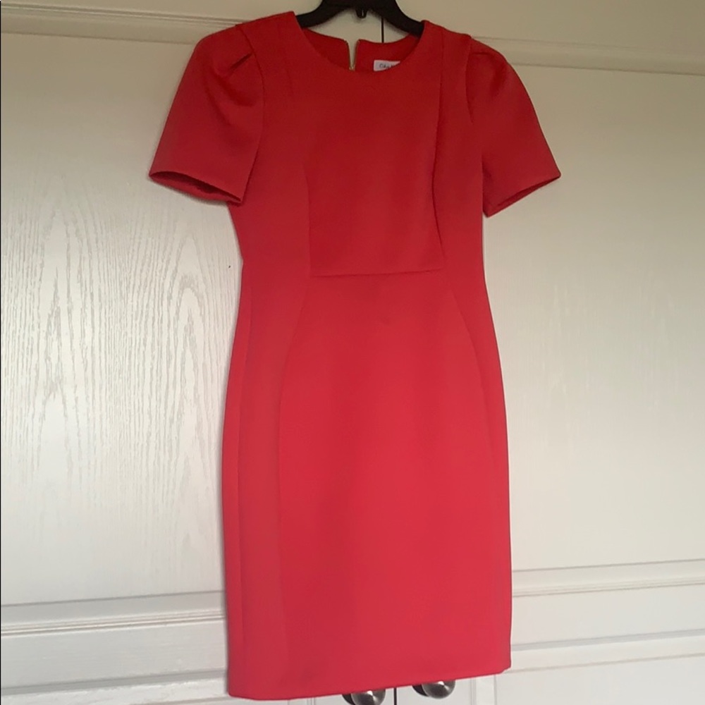 Pink Calvin Klein Dress